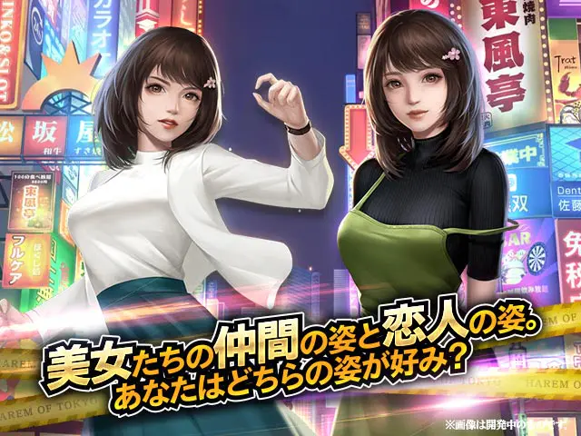 ハーレムオブトーキョーの画像2