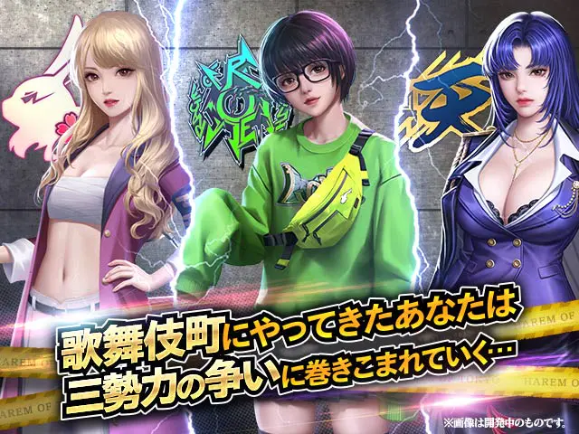 ハーレムオブトーキョーの画像3