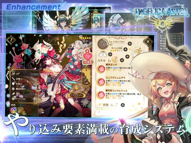 ANGELICA ASTERの画像3