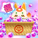 宝玉